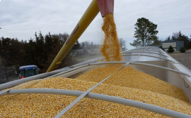 Украина обновила рекорд по урожаю зерновых культур