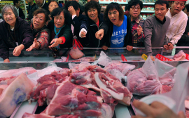 Украина приступила к поставкам говядины на рынок Китая